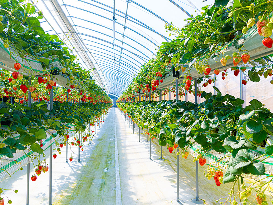 農業・工場分野